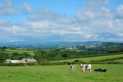 View Towards Launceston