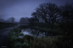 Truscott Pond in March