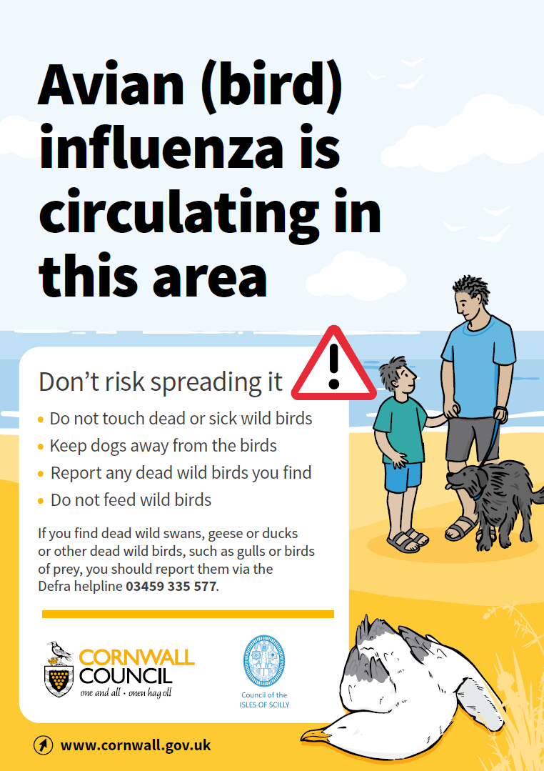 Avian Bird Influenza Information St Stephens By Launceston Rural 